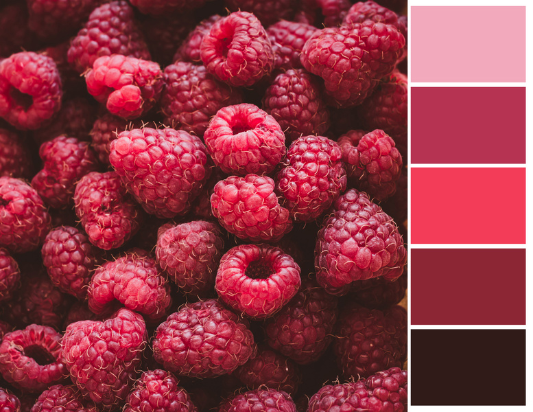 Raspberry color palette.